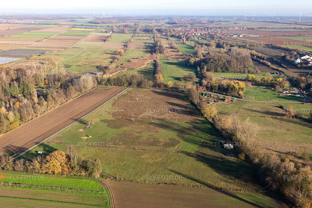 Luftbild: Billigheimer Bruch, Erlenbachtal zwischen Barbelroth, Hergersweiler und Winden in Barbelroth im Bundesland Rheinland-Pfalz in Deutschland. Foto: IMG_123891.jpg vom 21.11.2020 durch Werner Riehm/FLY-FOTO.de