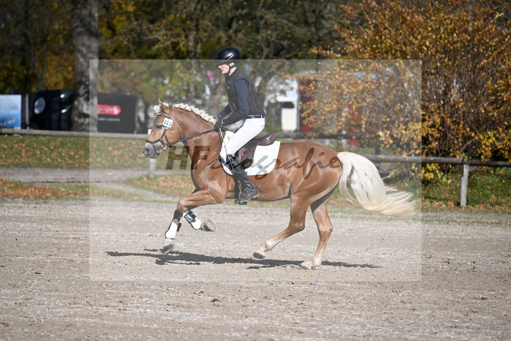 Kat-Nr. 9 Whisky Coke v. Wyno_Wendel_43250619 | hf-fotografie - Realizzato con Pictrs.com