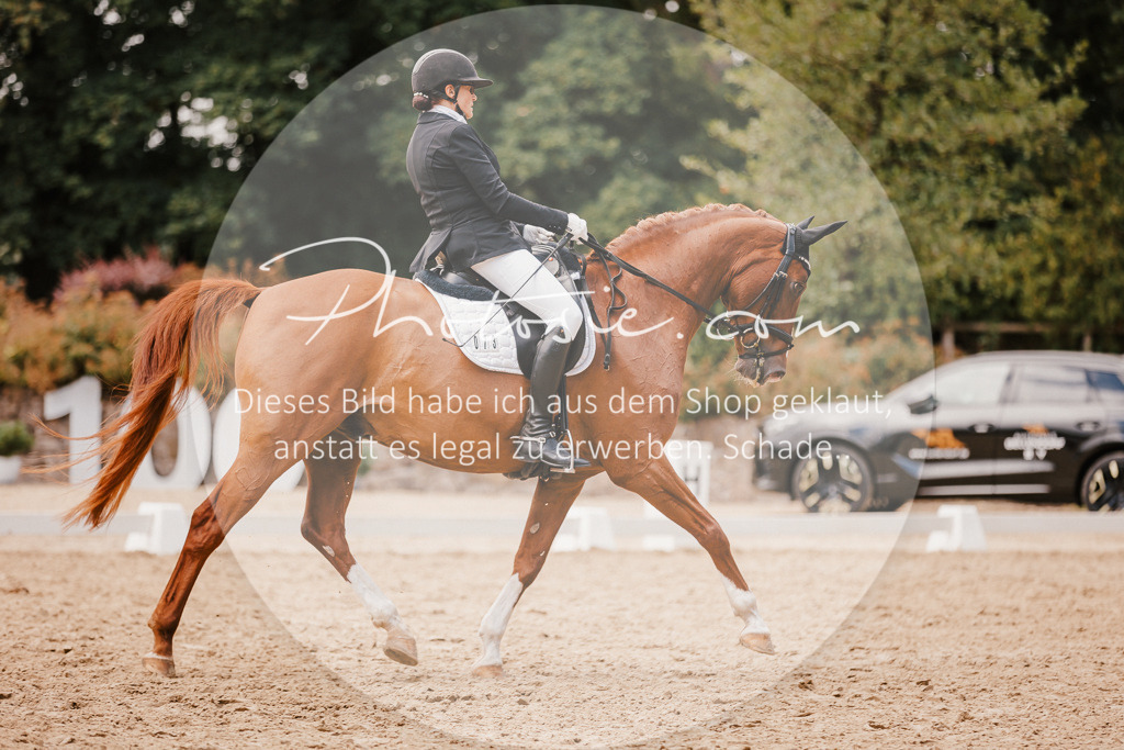 3I6A6014 | Stimmungsvolle Portraits und Reitsportfotografie im Ruhrgebiet und im Münsterland.

Pferdefotografie, Hundefotografie, Tierfotografie, Reportagen, Portraits von Tier und Mensch, Turnierfotografie in Bochum, Recklinghausen, Marl, Haltern am See, Dülmen.. - Realisiert mit Pictrs.com