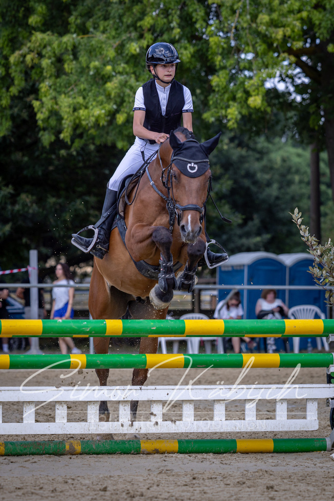 20260704-_3LI0215 | Tierfotografie Pferde, Hunde, Katzen, Haustiere.
Turnierfotografie Reitturniere, Reiten, Springreiten, Dressur in Hanau, dem Main-Kinzig-Kreis und dem Rhein-Main- Gebiet um Frankfurt