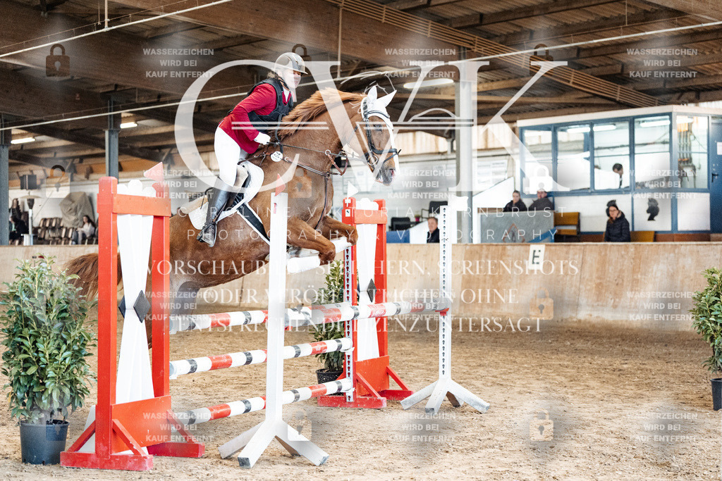 CK904989 | Turnierfotografie Pferdefotografie Trier Rheinland-Pfalz Pferdesport Reitsport Tierfotografie Sportfotografie Pferdevideo Pferdevideografie Equestrianvideography equestrianphotography  - Realisiert mit Pictrs.com