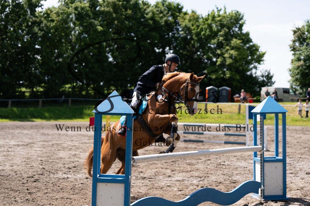 A7V04251 | Pferdefotograf