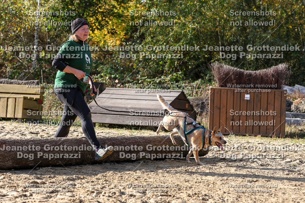 Dog Paparazzi - Strongdog 10-25-5996 | Dog Paparazzi Jeanette Grottendiek Fotografie & Videografie - Realisiert mit Pictrs.com