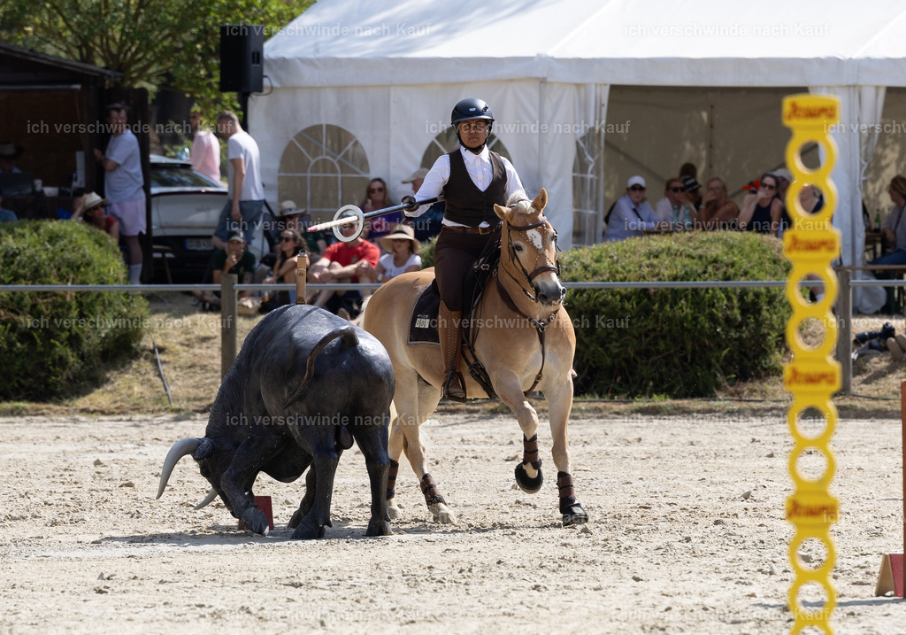 WS_SPEED_1_KerstinBernhardt-5 | working equitationturnier fotograf videograf stoibphotography marixx film working equitation deutschland reitsport turnierfotografie eventfotografie equestrian events