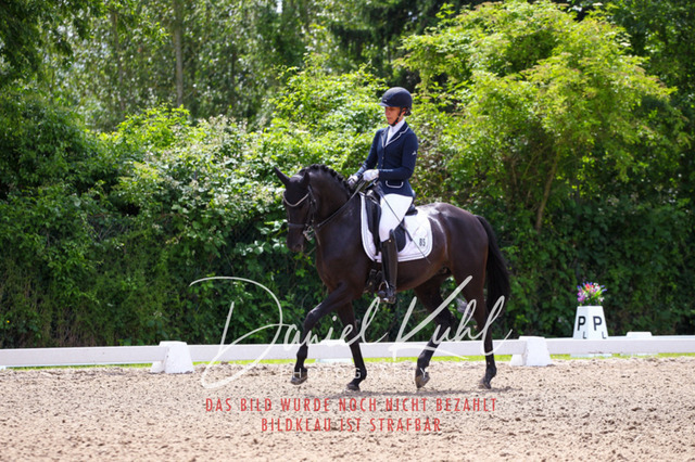 DKP41056 | Turnierfotos kaufen im Webshop von Daniel Kuhl Photography – entdecke professionelle Reitsportfotos aus Turnieren & Events. Hochwertige Turnierbilder online bestellen & sichern. Jetzt Fotos von Reitsportturnieren kaufen!