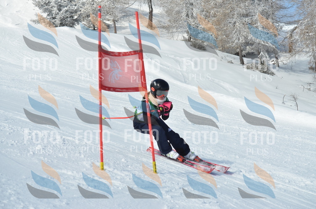 D8920 | holidayphoto