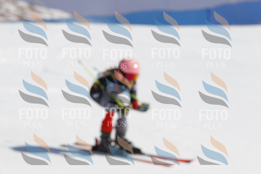 _U3G9642 | holidayphoto