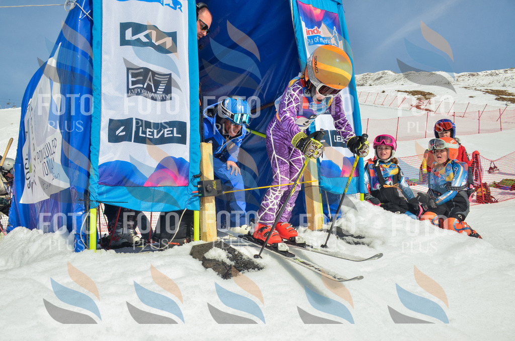 _ELE5274 | holidayphoto