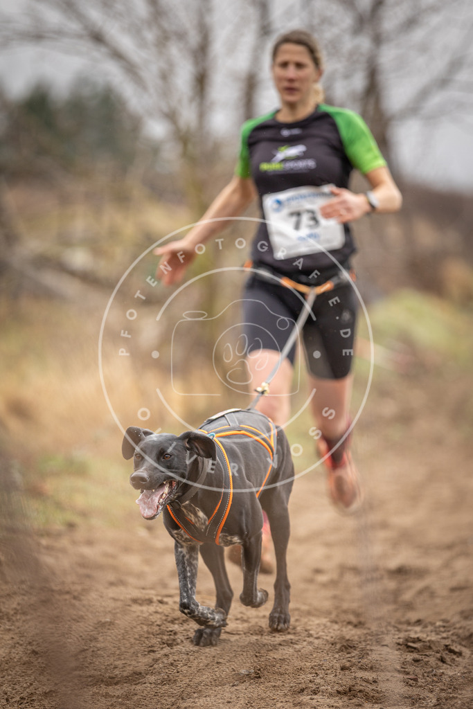 DV3A9701 | Hundefotografie, Tierfotograf, Pfotenfotografie, Fotoshooting Hund, Hunde Portrait, Hundesport, Hundeportraits, Heideshooting, Hunde, Sportfotograf, Hundefotograf, Turnierhundsport, THS,  - Realisiert mit Pictrs.com