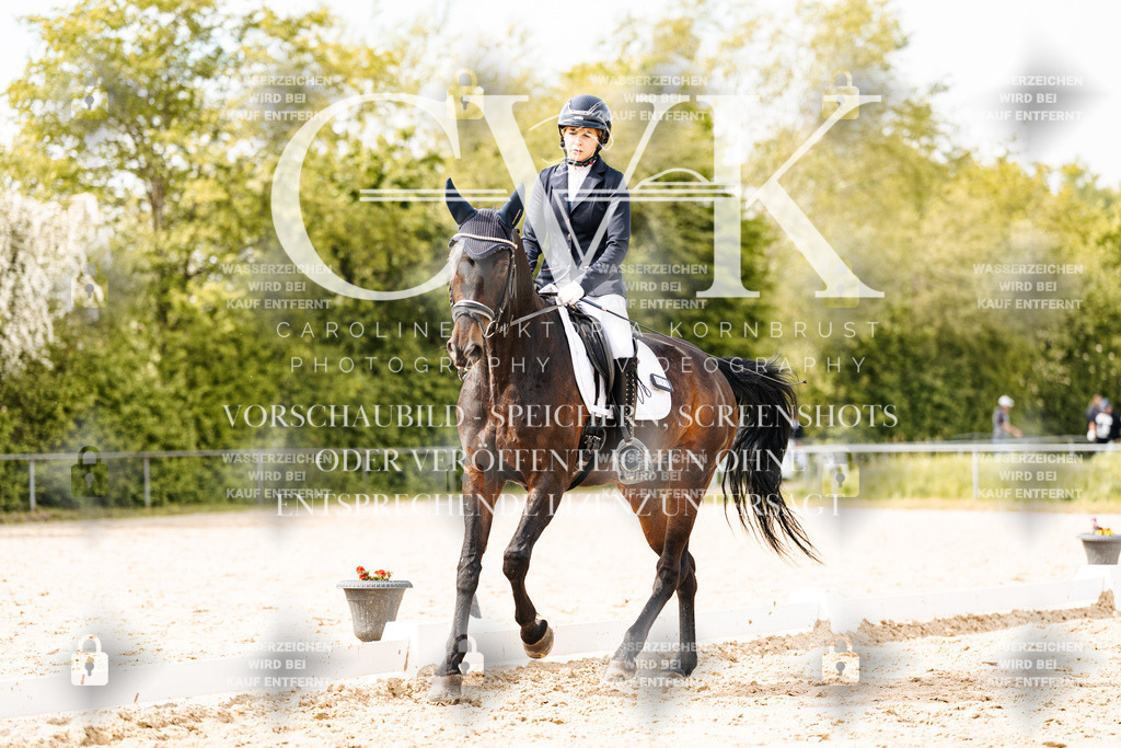 CK901178 | Turnierfotografie Pferdefotografie Trier Rheinland-Pfalz Pferdesport Reitsport Tierfotografie Sportfotografie Pferdevideo Pferdevideografie Equestrianvideography equestrianphotography  - Realisiert mit Pictrs.com