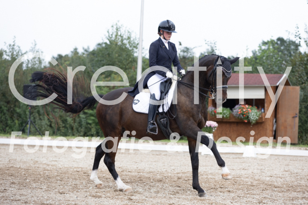 IMG_5432 | Creatify Fotografie