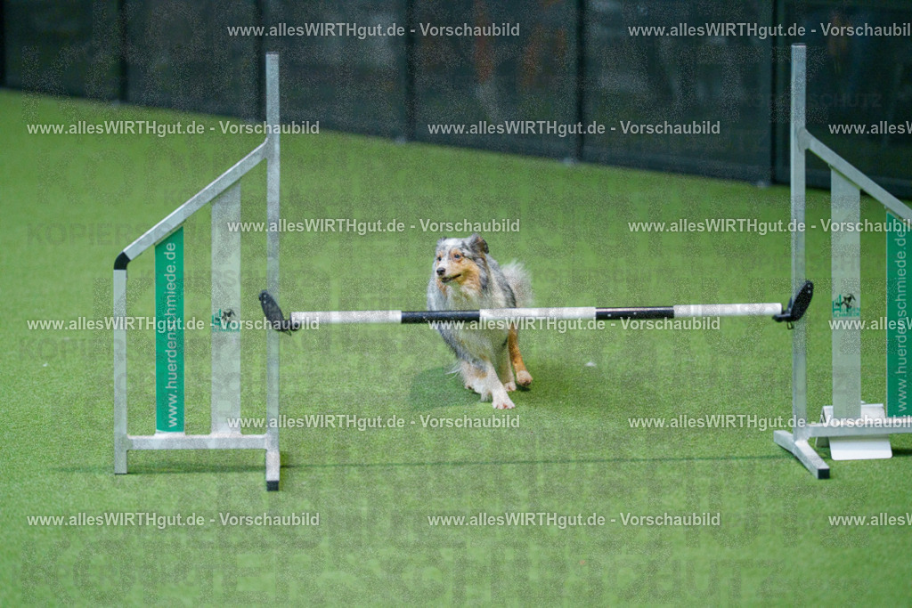 @allesWIRTHgut_Tierfotografie - www.allesWIRTHgut.de - 2604251000-7R509426 | Professionelle Tierfotografie in Mönchengladbach von Daniel Wirth (allesWIRTHgut). Liebevolle & natürliche Bilder von Hunden & Katzen für unvergessliche Erinnerungen.