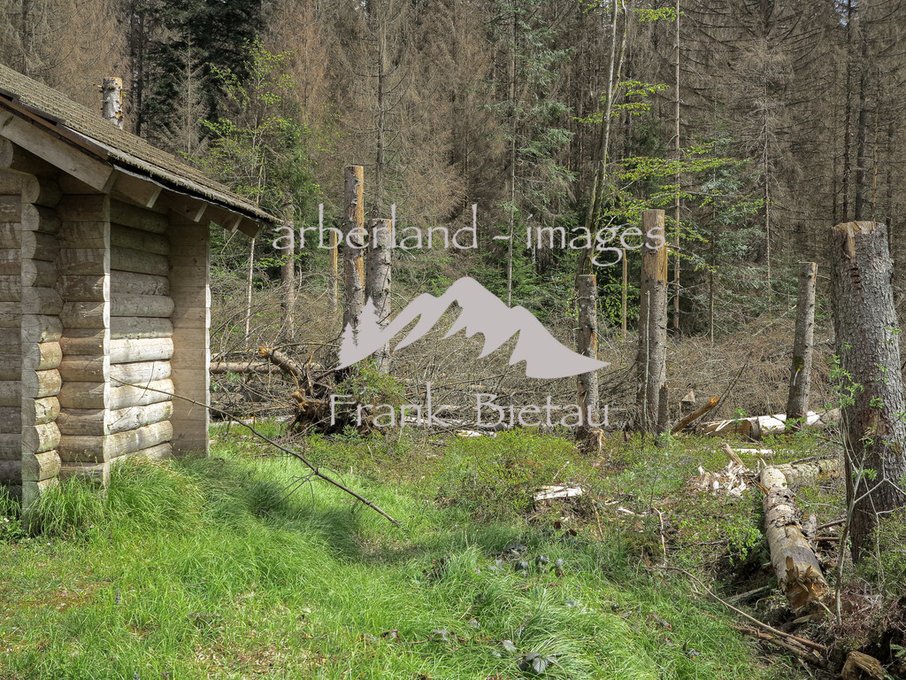 IMG_1991 | Medien- Sport- Entertainmentfotos