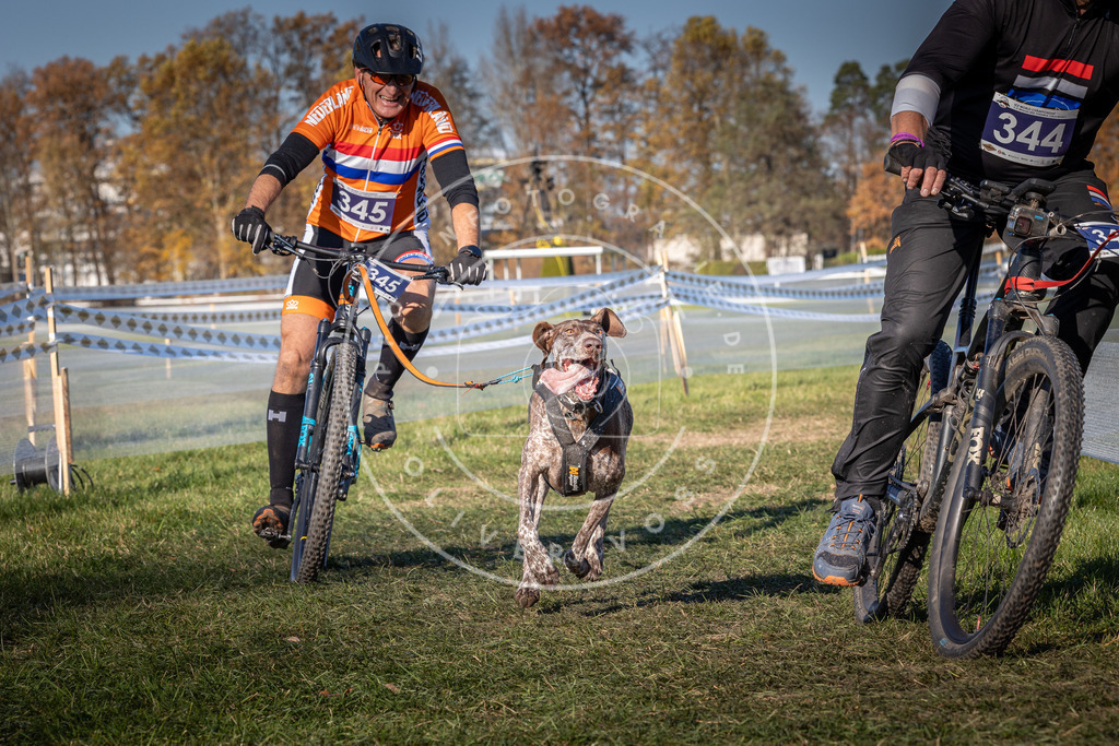 CaniXpix_0L8A6007 | Hundefotografie, Tierfotograf, Pfotenfotografie, Fotoshooting Hund, Hunde Portrait, Hundesport, Hundeportraits, Heideshooting, Hunde, Sportfotograf, Hundefotograf, Turnierhundsport, THS,  - Realisiert mit Pictrs.com