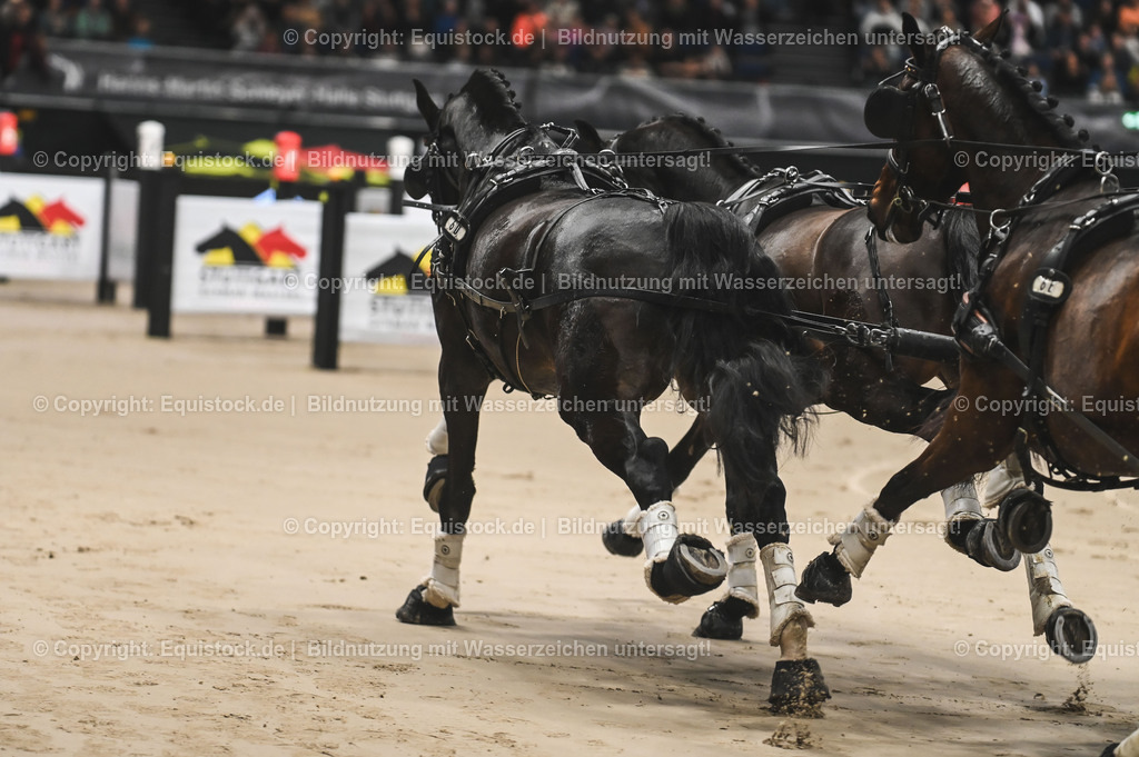 20241116_Fahren-Masterhorse_TOMsPiC_0010 | Foto: Thomas Hartig