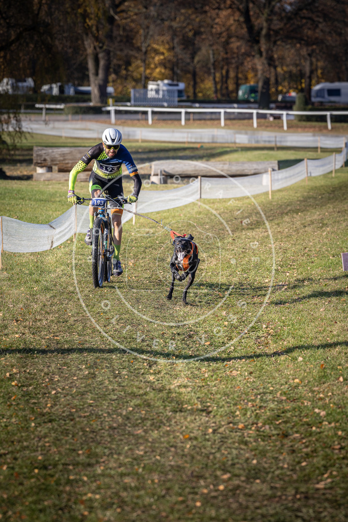 CaniXpix_DV3A2516 | Hundefotografie, Tierfotograf, Pfotenfotografie, Fotoshooting Hund, Hunde Portrait, Hundesport, Hundeportraits, Heideshooting, Hunde, Sportfotograf, Hundefotograf, Turnierhundsport, THS,  - Realisiert mit Pictrs.com