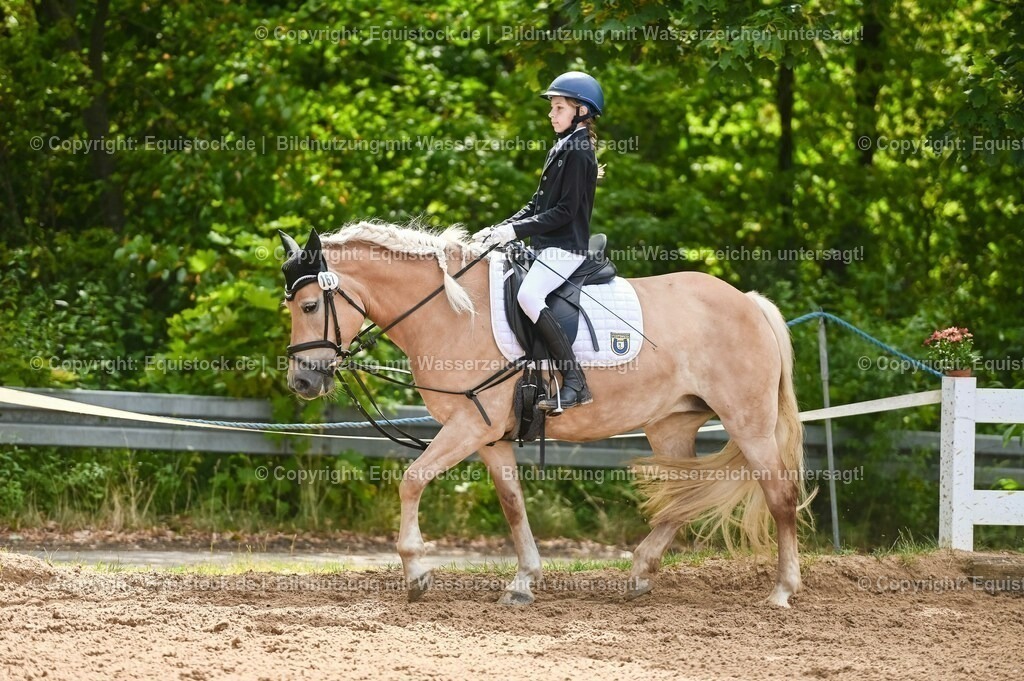 20230716_10-2_Reiter-WB Schritt - Trab - Galopp_0185 | equistock