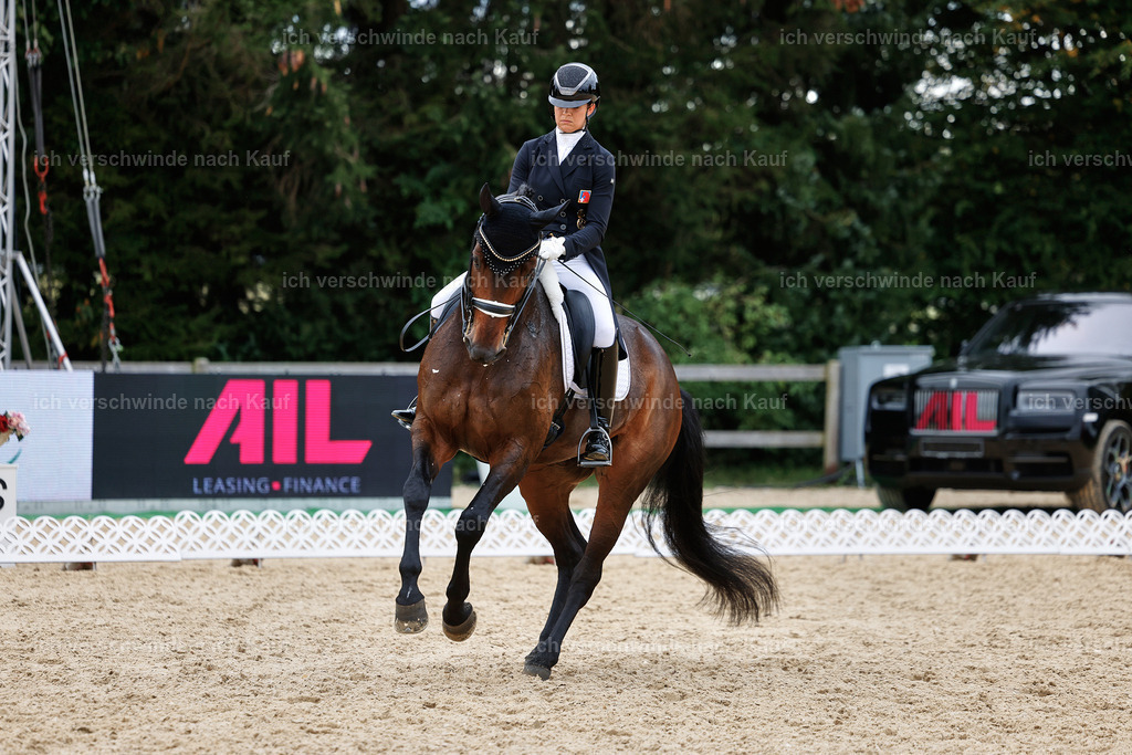11-110-Dressur S___-StoibPH-1365 | working equitationturnier fotograf videograf stoibphotography marixx film working equitation deutschland reitsport turnierfotografie eventfotografie equestrian events