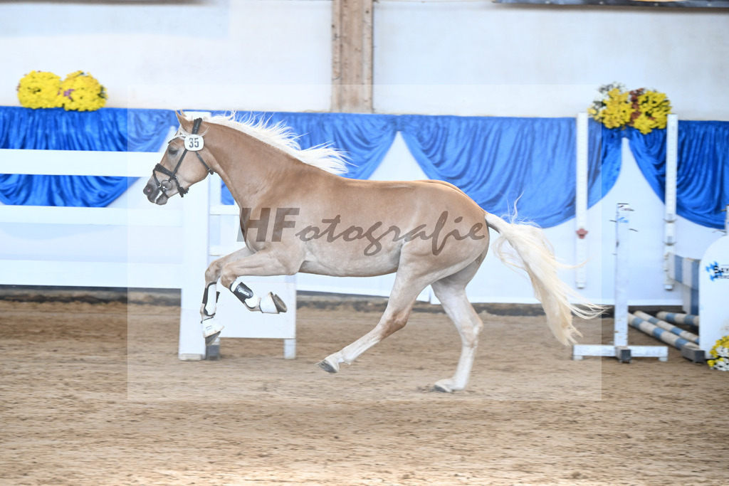 Kat-Nr. 35 nn v. Bugatti_Friedrich_48250105 | hf-fotografie - Realisiert mit Pictrs.com