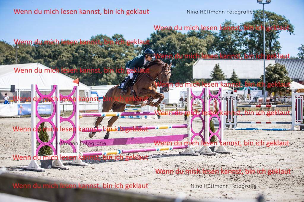 BK1A6454 | Turnierbilder Turnierfotos Nina Hüffmann Turnierfotografie Pferdefotografie Tierzeichnung Haustierzeichnung Pferdezeichnung Hundezeichnung Videograf  - Realisiert mit Pictrs.com