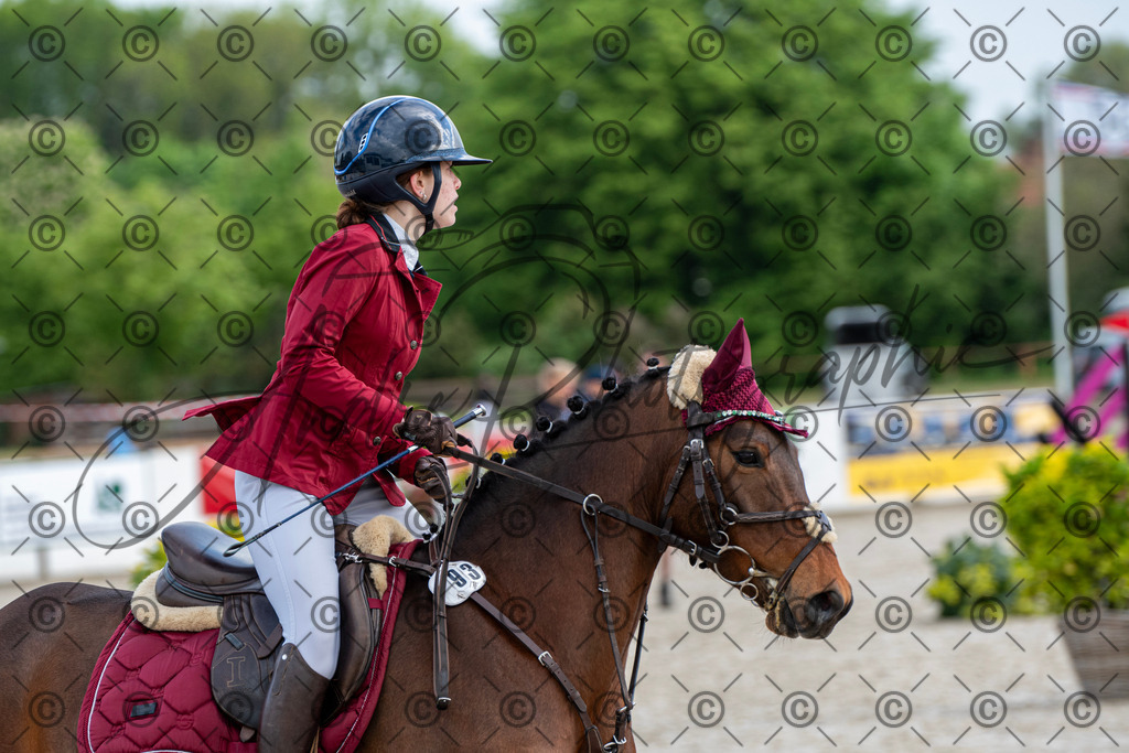 KPT_8013 | andre_photographic