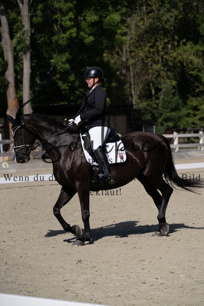 A7V07066 | Turnier/Reitfotograf