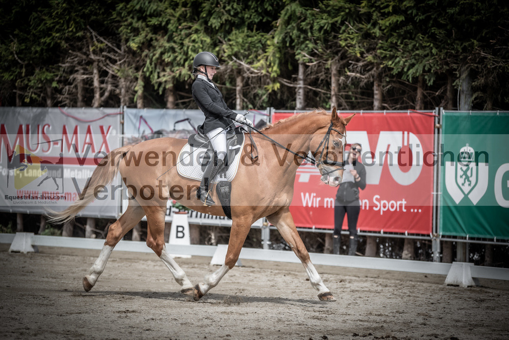 DSC_2696 | equestrian-live-com