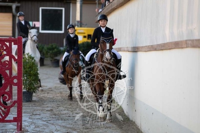 2B4A4057 | pixelfaenger - Realisiert mit Pictrs.com