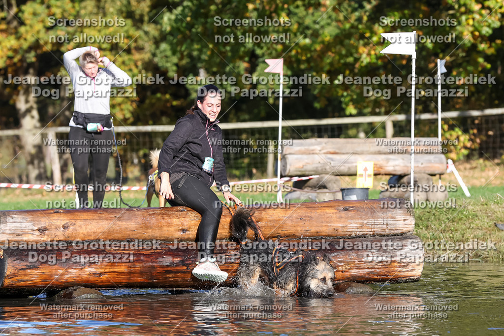 Dog Paparazzi - Strongdog 10-25-8741 | Dog Paparazzi Jeanette Grottendiek Fotografie & Videografie - Realisiert mit Pictrs.com