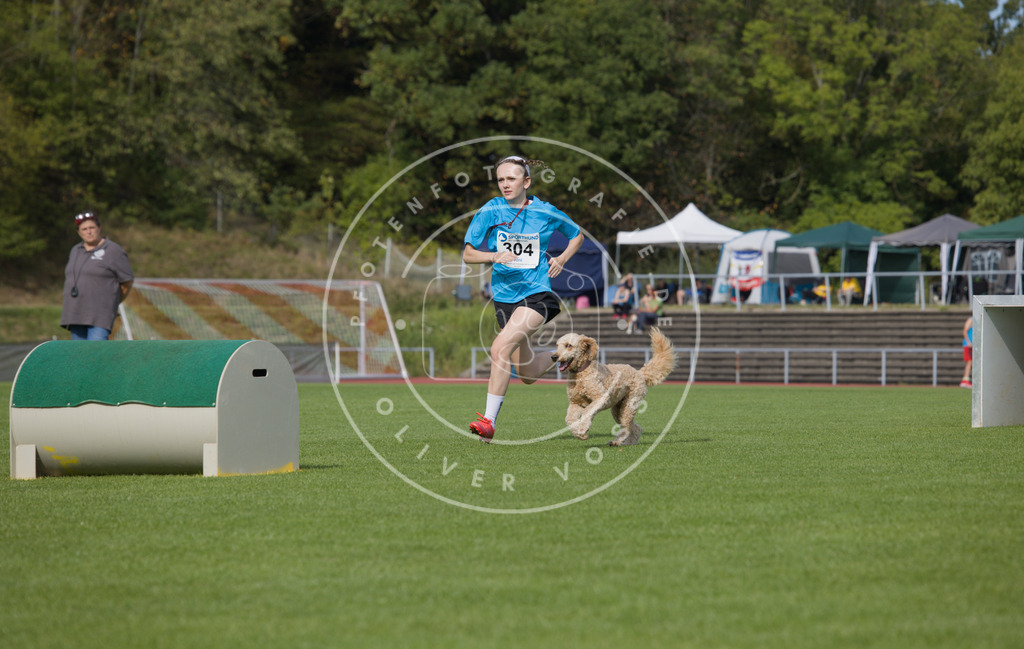 0L8A3544 | Hundefotografie, Tierfotograf, Pfotenfotografie, Fotoshooting Hund, Hunde Portrait, Hundesport, Hundeportraits, Heideshooting, Hunde, Sportfotograf, Hundefotograf, Turnierhundsport, THS,  - Realisiert mit Pictrs.com