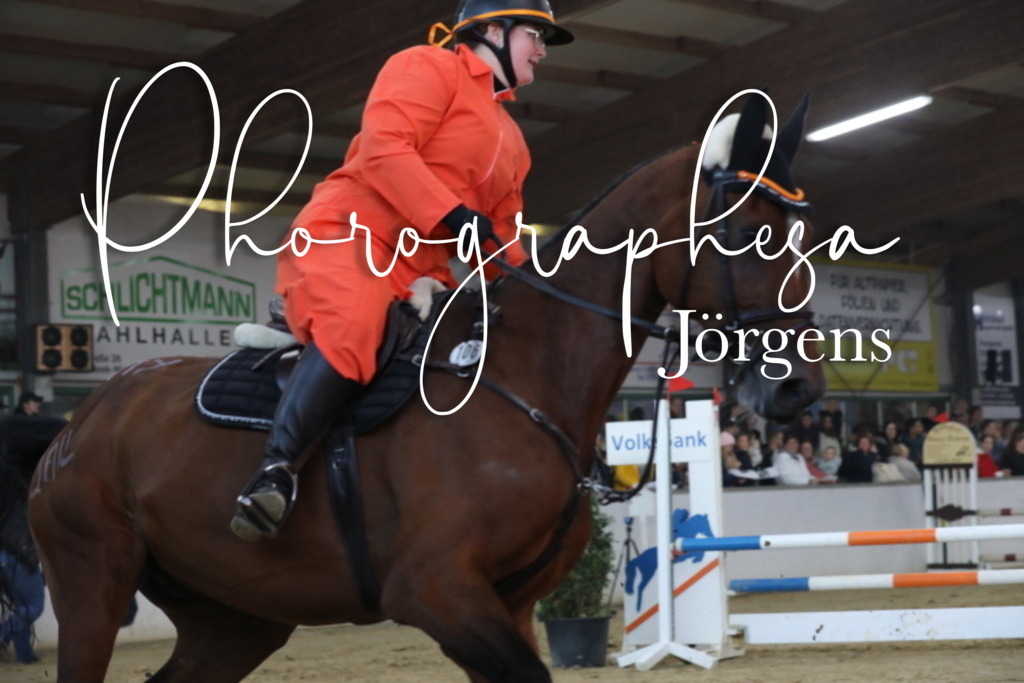 IMG_1982 | photographesa-joergens - Realisiert mit Pictrs.com