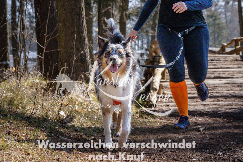 1311_ZZ94619 | kk-dogfotos