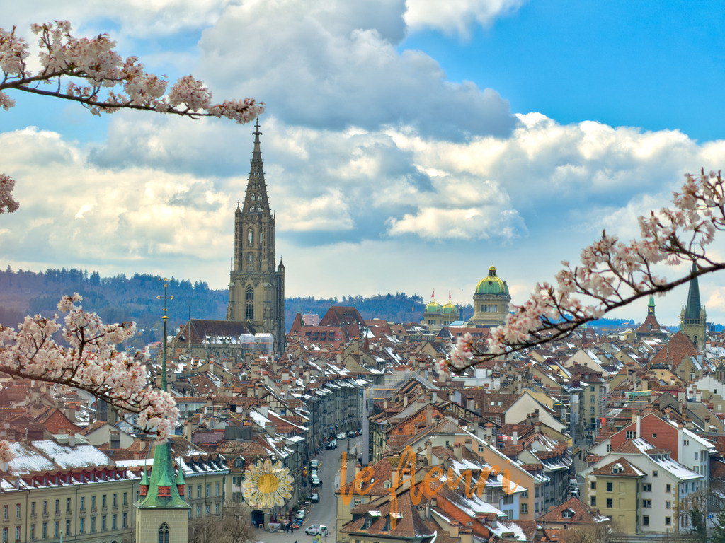 Bern Münster DNG iPhone | Dies ist der Shop von Florian Blum - le fleuri. Langenthal, Bern, Schweiz. Sie können hier meine oder ihre eigenen Fotos als Fotoprodukte kaufen. Tassen, Schlüsselanhänger, Taschen etc. können Sie hier gestalten.  - Realisiert mit Pictrs.com