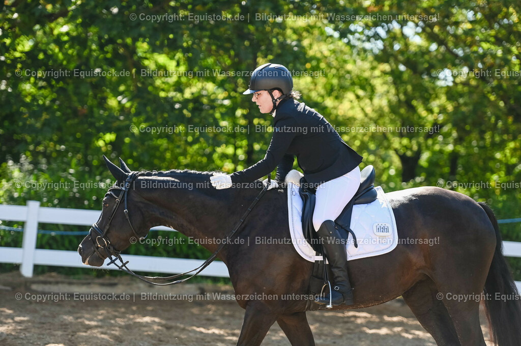 20230715_06_Dressurpferdeprfg. Kl.A_0354 | equistock