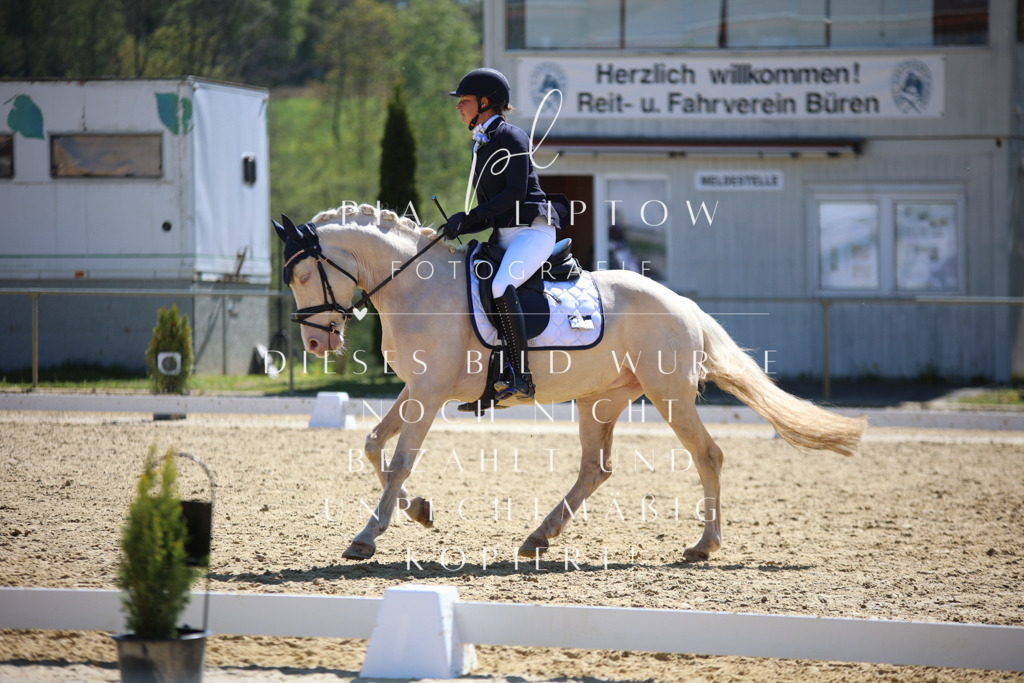 IMGT1314 | pl-fotografie