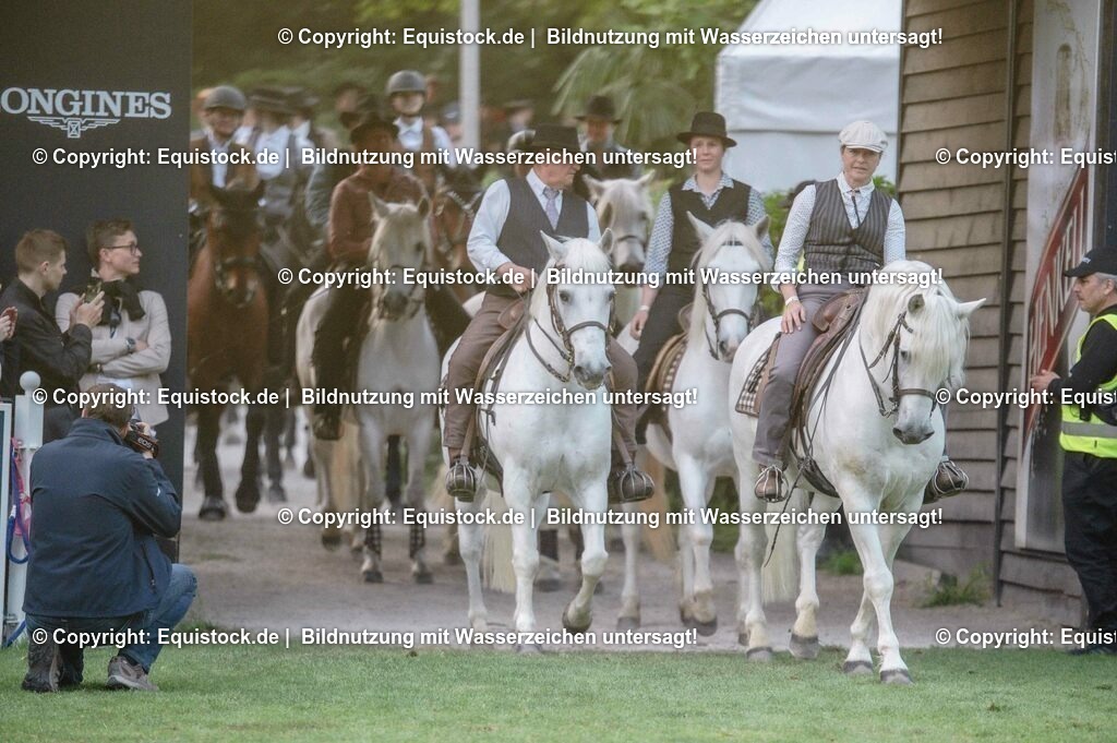 20230526_Pferdenacht_0669 | equistock