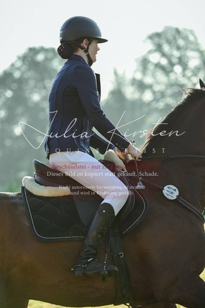 DSC_3974 | Pferde- und Turnierfotografie in Westsachsen. Pferdeportraits, Auftragszeichnungen und intuitive Kunst.