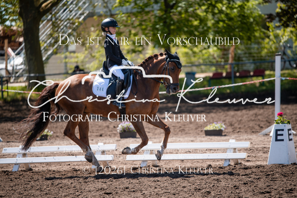 DSC_6029 | Christina-Kleuver