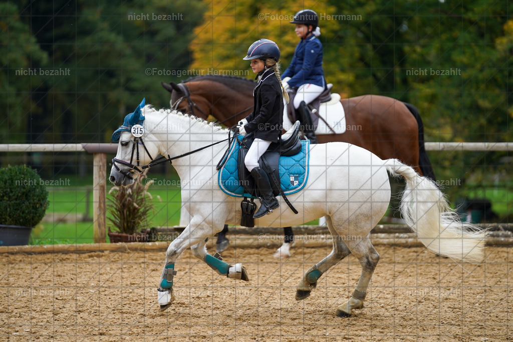 20221008-FAH01439 | Diessen am Ammersee, 2022, Dressur- und Springturnier, Reitsportbilder, Turnierfotografen Bayern, Pferdefotografen, Fotoagentur Herrmann, Turnierbilder