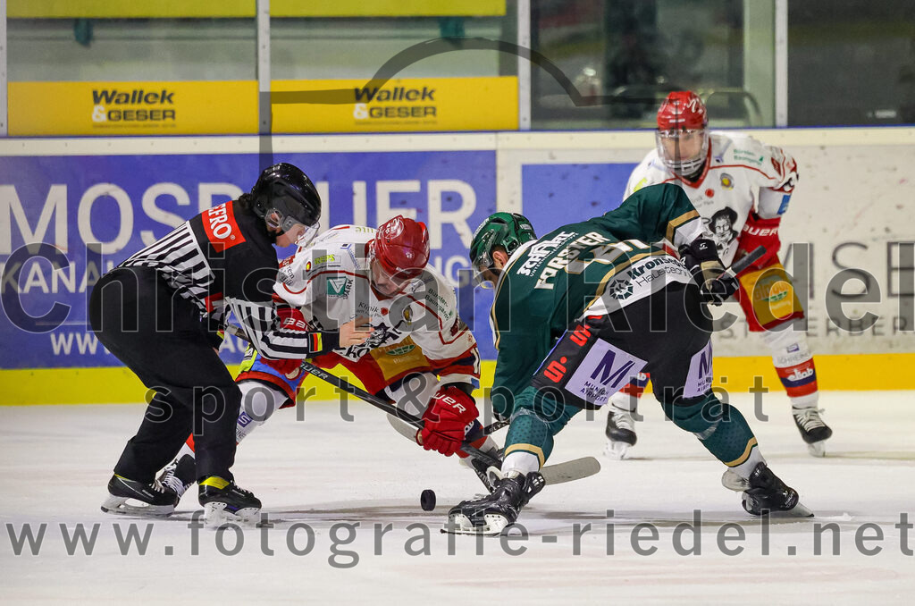 2026-02-20_104_TSV_Erding_gegen_Deggendorfer_SC | Erding, Deutschland, 20.02.2026:Eishockey, Oberliga Süd 2025 / 2026, 49. Spieltag, TSV Erding gegen Deggendorfer SC, Endergebnis: 4:1Maximilian Forster (Erding Gladiators, #81)Foto: Christian Riedel / fotografie-riedel.net