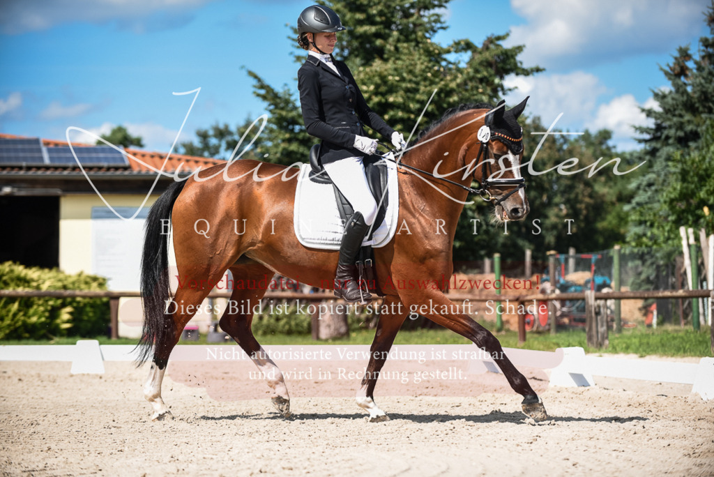 DSC_9475 | Pferde- und Turnierfotografie in Westsachsen. Pferdeportraits, Auftragszeichnungen und intuitive Kunst.