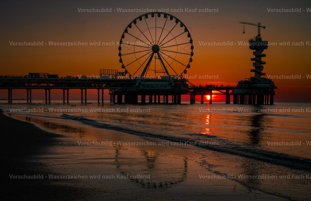 DSC04976-Enhanced-NR-2 | marcuslinek