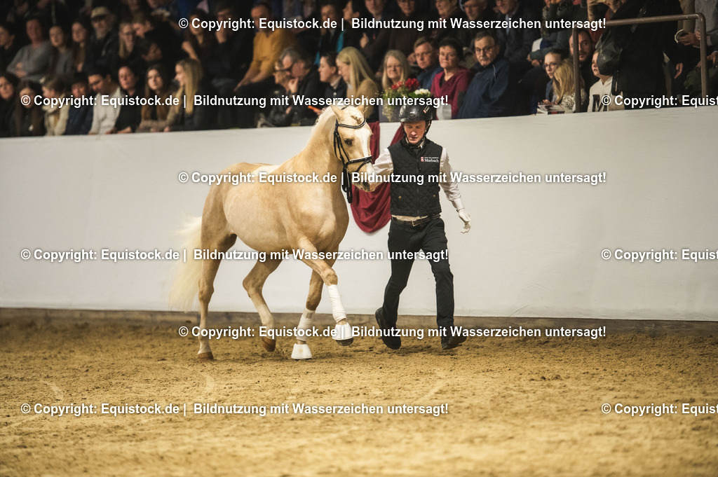 20240302_Hengstvorstellung_Marbach_TOMsPiC_0799-2 | equistock