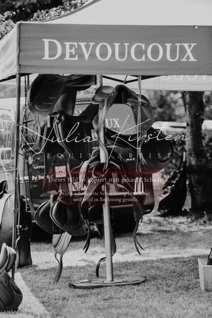 DSC_8883 | Pferde- und Turnierfotografie in Westsachsen. Pferdeportraits, Auftragszeichnungen und intuitive Kunst.