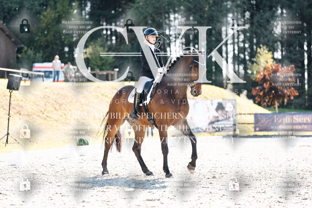 CK905719 | Turnierfotografie Pferdefotografie Trier Rheinland-Pfalz Pferdesport Reitsport Tierfotografie Sportfotografie Pferdevideo Pferdevideografie Equestrianvideography equestrianphotography  - Realisiert mit Pictrs.com