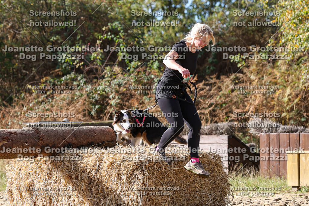 Dog Paparazzi - Strongdog 10-25-5293 | Dog Paparazzi Jeanette Grottendiek Fotografie & Videografie - Realisiert mit Pictrs.com