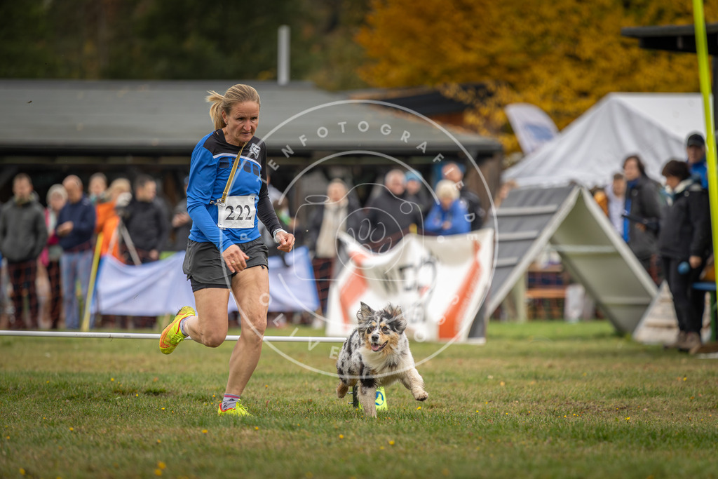 Pfotenfotografie_DV3A3090 | Hundefotografie, Tierfotograf, Pfotenfotografie, Fotoshooting Hund, Hunde Portrait, Hundesport, Hundeportraits, Heideshooting, Hunde, Sportfotograf, Hundefotograf, Turnierhundsport, THS,  - Realisiert mit Pictrs.com