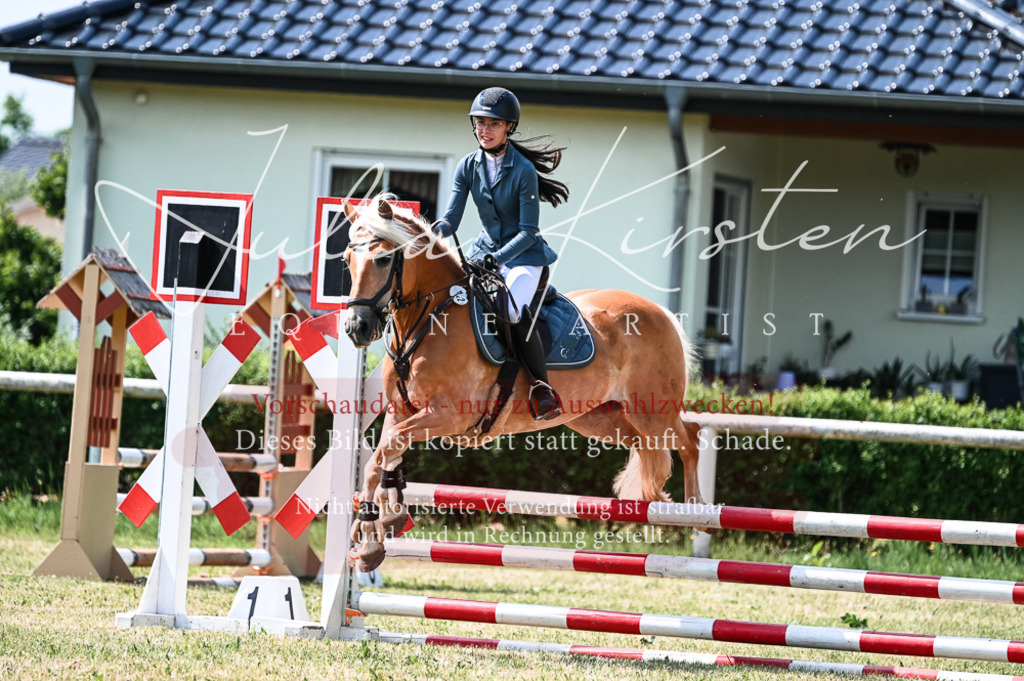 DSC_8780 | Pferde- und Turnierfotografie in Westsachsen. Pferdeportraits, Auftragszeichnungen und intuitive Kunst.