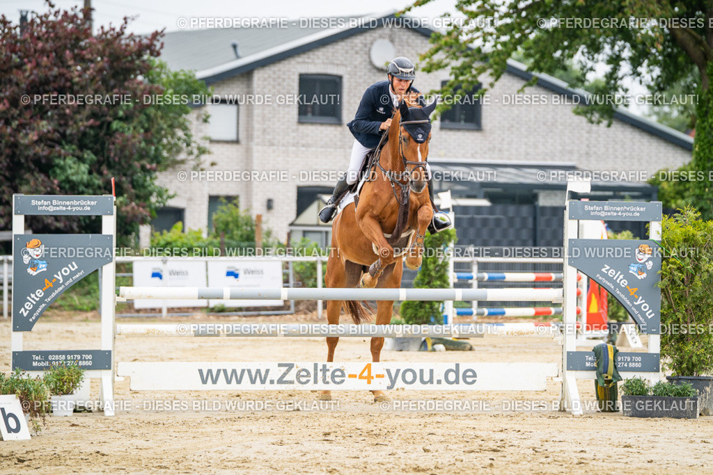 DSC09533 | Pferdegrafie