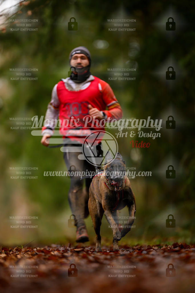 MompixPhotography_2SSTSSBW_2025_SO_Canicross-63 | PayLife